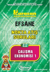 317 - Karacan Yayınları Nokta Atış Soruları - ÇALIŞMA EKONOMİSİ 1