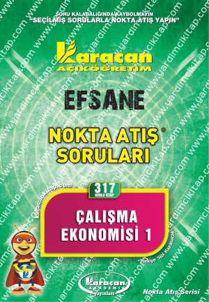 317 - Karacan Yayınları Nokta Atış Soruları - ÇALIŞMA EKONOMİSİ 1